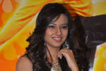 Isha Chawla Latest Photos